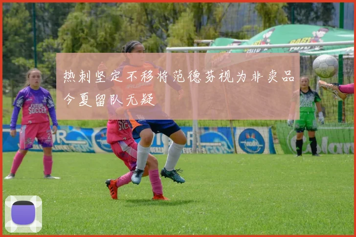 热刺坚定不移将范德芬视为非卖品今夏留队无疑