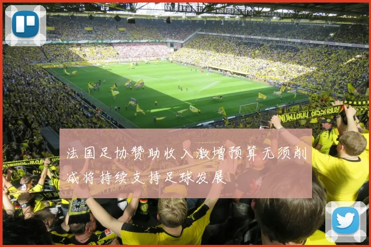 法国足协赞助收入激增预算无须削减将持续支持足球发展